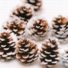 Pinecone Ornament