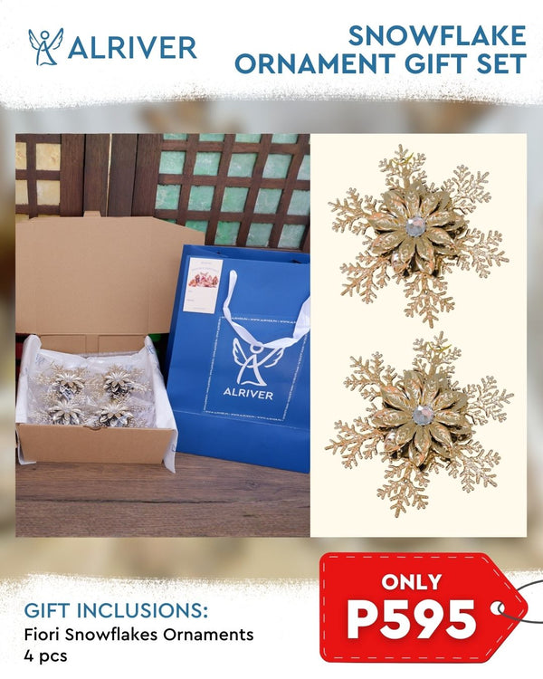 Snowflake Ornament Gift Set