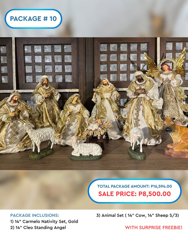 PACKAGE 10: 14" Gold Nativity Set Package